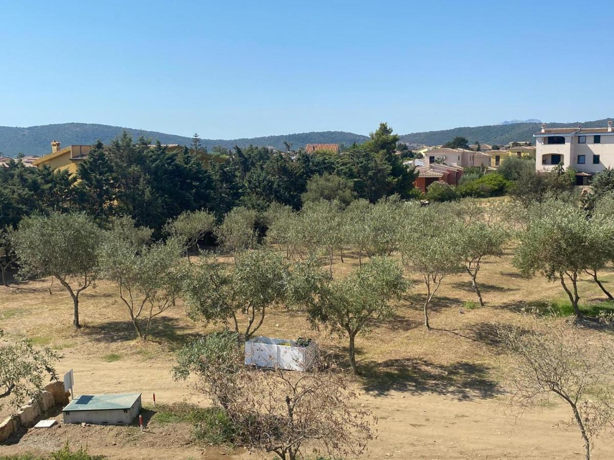Villa Lentischio Budoni Εξωτερικό φωτογραφία
